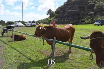 El Valle de los Nueve Alto celebra el día grande de sus fiestas patronales/Francisco Javier Santana.